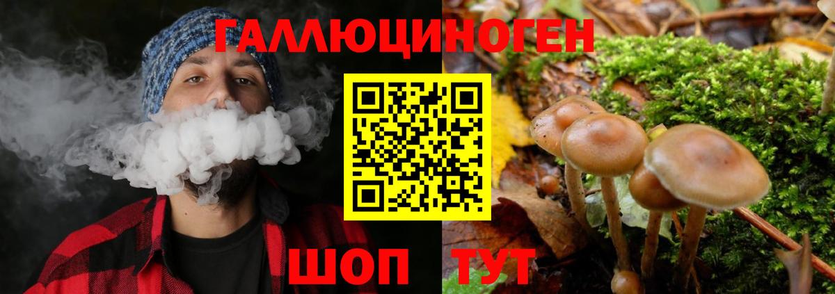 Галлюциногенные грибы Cubensis  Псилоцибиновые грибы Magic Shrooms  Вход с VPN  Ноябрьск 